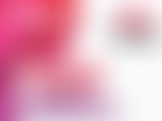 Cartilha de Orientações aos Docentes do Coletivo Nacional de Advogados de Servidores Públicos