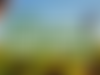 Reunião do GT de Política Ambiental, Urbana e Agrária (GTPAUA) da ADUR-RJ