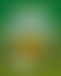 Neste domingo todos contra a blindagem, a anistia e o desmonte do serviço público: é hora de defender a democracia!