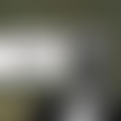 Centenário de Frantz Fanon