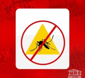 ADUR contra a Dengue