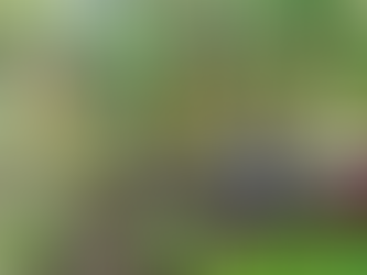 3 de outubro - Dia da Agroecologia