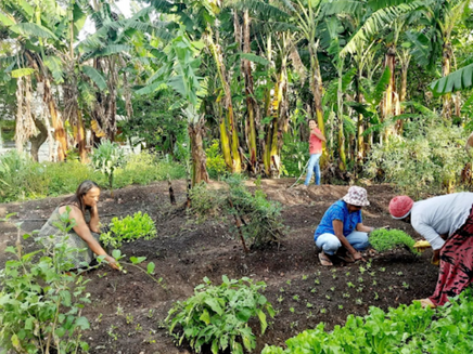 3 de outubro - Dia da Agroecologia