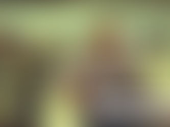 Celso Furtado: centenário de um grande brasileiro