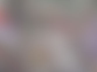 Mobilização contra reforma administrativa e as eleições da ADUR