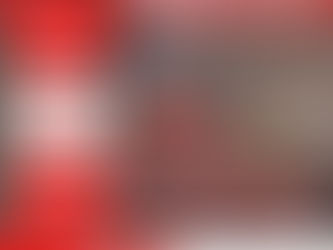 Mobilização em defesa do Serviço Público e das Estatais