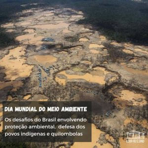 Dia Mundial do Meio Ambiente: por que comemoramos?