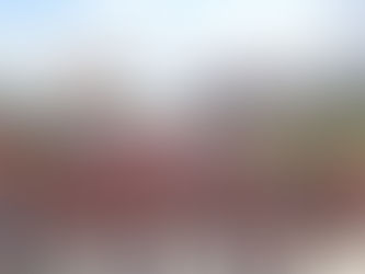 ANDES convoca docentes para Caravana à Brasília dia 28 contra os ataques do governo