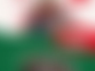 Materiais de campanha da CHAPA 2 – RENOVA ANDES