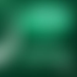 Opinião da Semana #9: Bolsonaro contra a China é o argueiro no olho do agro