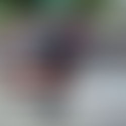 Nota de repúdio ao tratamento da polícia aos professores da rede municipal do Rio