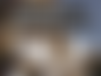 Plenária Aberta da Comunidade Ruralina