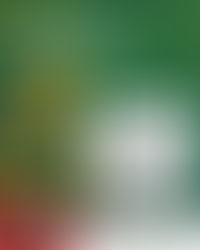 Decisão de juiz de Friburgo fere liberdade de expressão