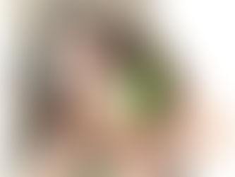 Autonomia Universitária em vertigem: Bolsonaro e Weintraub assumem o compromisso antidemocrático nas instituições de ensino federais