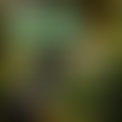 Reunião do GTPAUA da ADUR-RJ