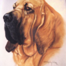 Pastel portrait 