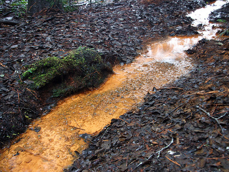 Mudslinging