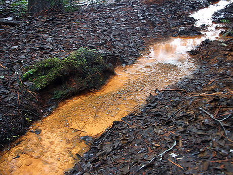 Muddy Stream 