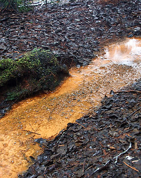 Muddy Stream 