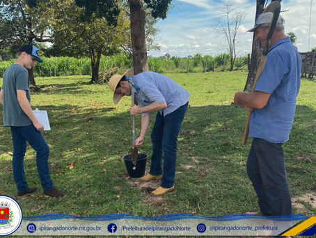 Secretaria de Agricultura e técnico da EMPAER realizam coleta de solo em Ipiranga do Norte