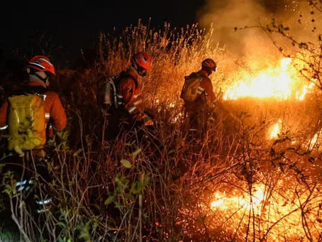 Focos de incêndio explodem no Pantanal e Cerrado e têm maior nº desde 1988