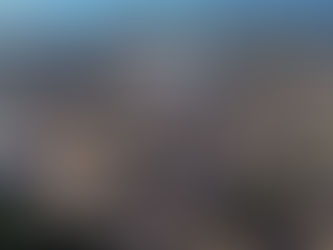 Escoamento da safra de soja provoca fila de até 1.200 caminhões em Porto Velho