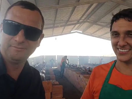 Flávio Zottis membro da APAE fala sobre os preparativos para a Festa do Leitão no Rolete em Tapurah