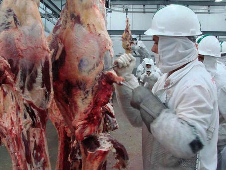 Exportações de carne de Mato Grosso ficam acima da média; China reduz compra em 21%