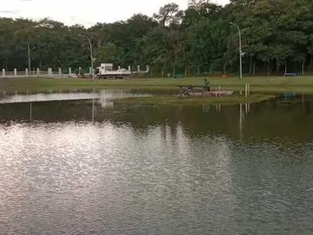 Lucas: Em ação de limpeza, Prefeitura retira 400 quilos de lixo do Lago Harri Muller