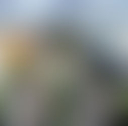Tapurah fica de fora do Prêmio Cidades Inovadoras