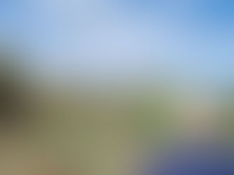 Autoridades e ONG ambientalista unem esforços para combater a influenza aviária no MT