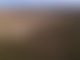 Cerrado tem aumento de 68% no desmatamento e ultrapassa Amazônia