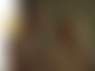 “Ainda Estou Aqui” ultrapassa US$ 35 milhões em bilheteria e entra para a história do cinema brasileiro