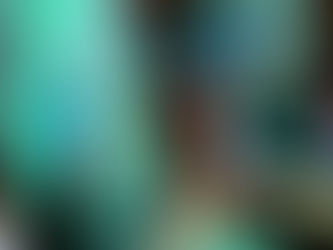 Ein Mann malt einen Eisvogel bei einem Malkurs