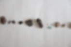 timeline wider view 2