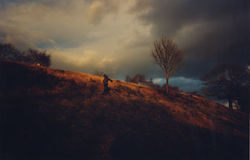 hillside
