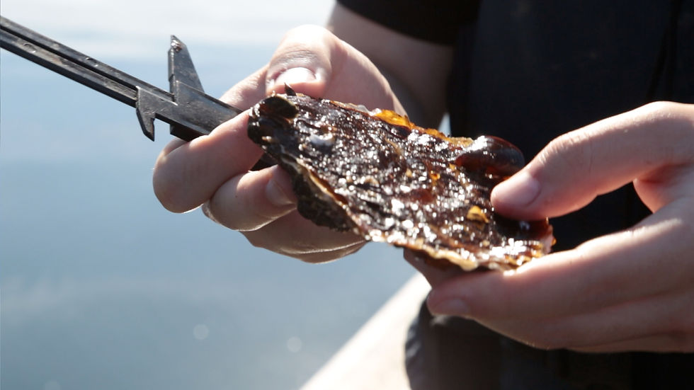 More than a lifetime 2025 film still