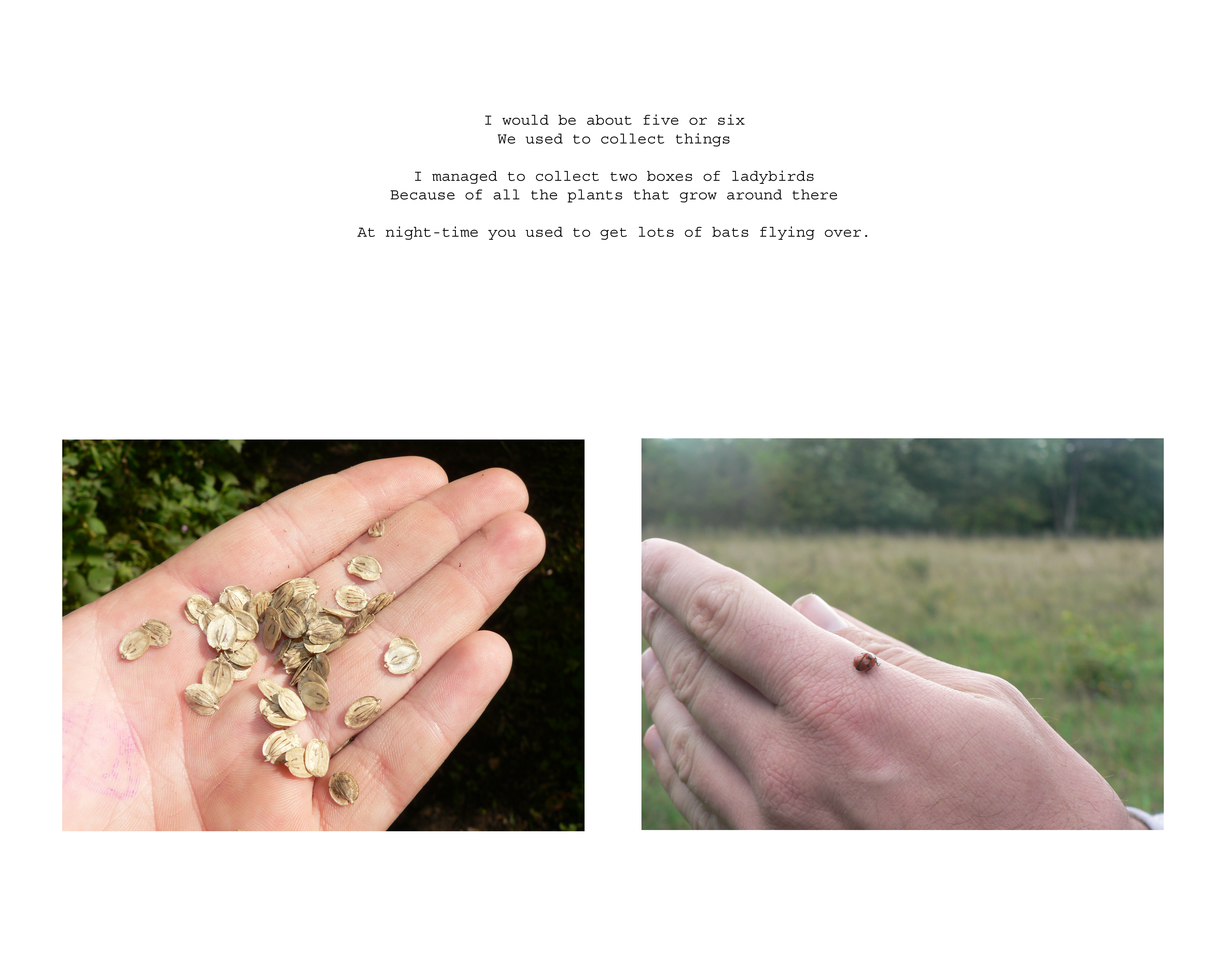 sam hands copy