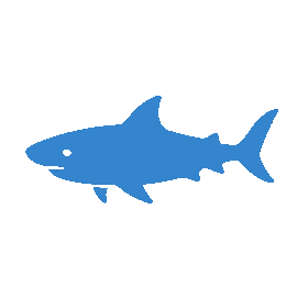 perfect_tail_wag_shark_hard_edges.gif