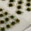 Thumbnail: Grass Tufts - Autumn (Small and Medium) - 150 Pack