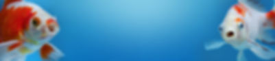AdobeStock_253619269.jpeg