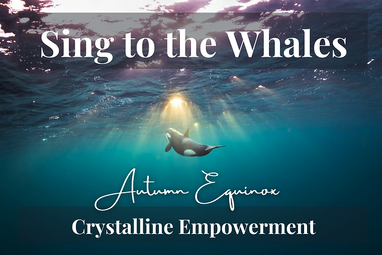 Sing to the Whales Equinox 1 (1).png