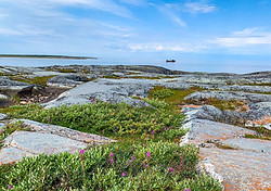Arctic coastal landscape in Churchill Manitoba with rocks, vegetation and open sky