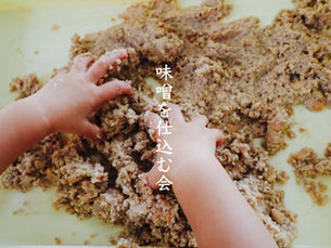 ２０２６年1月レッスンのお知らせ