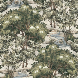 BorealForest web