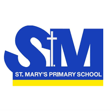 STM PS.png