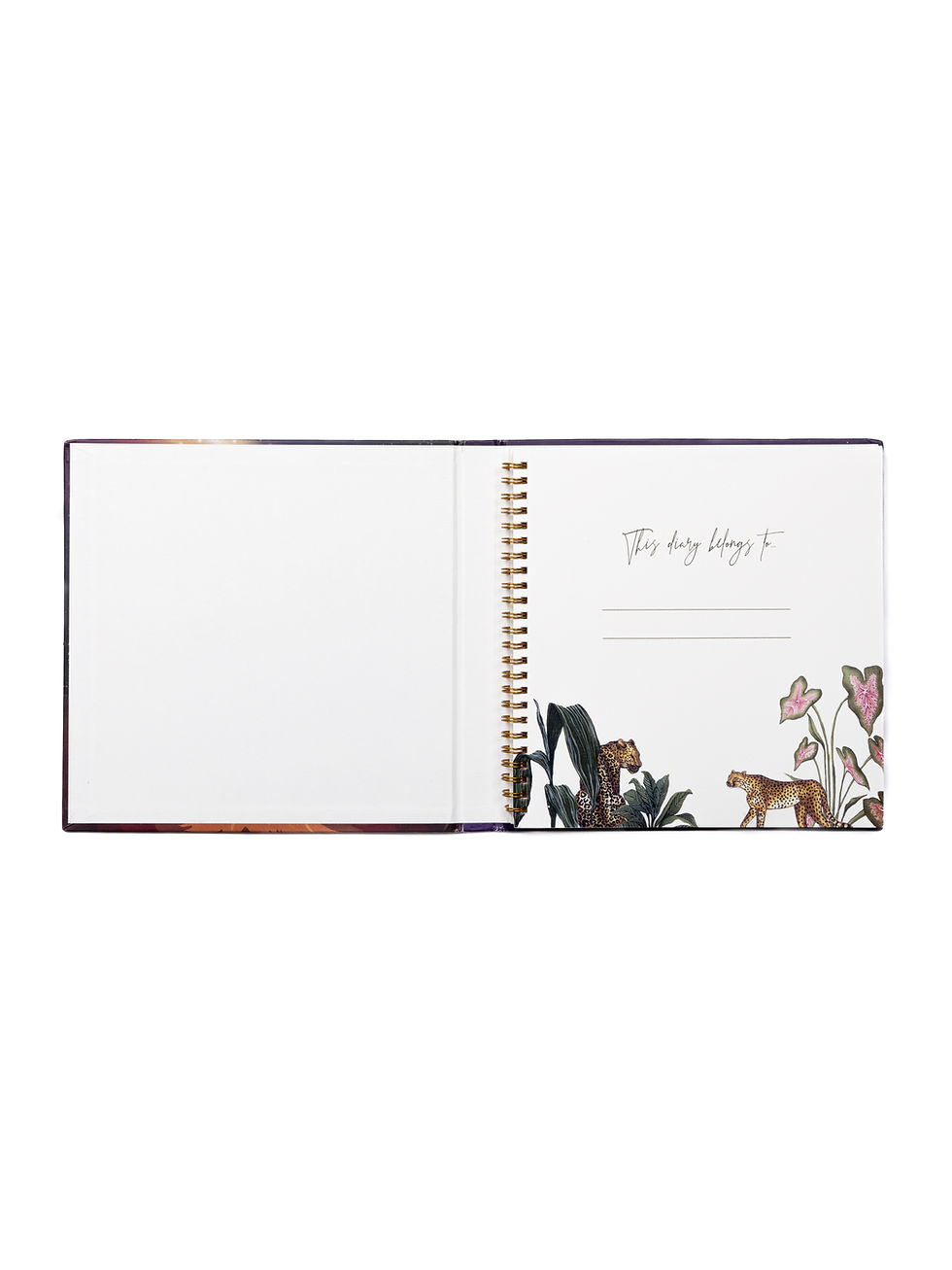 Thumbnail: Sagittarius Sketchbook | Hardbound & Spiral