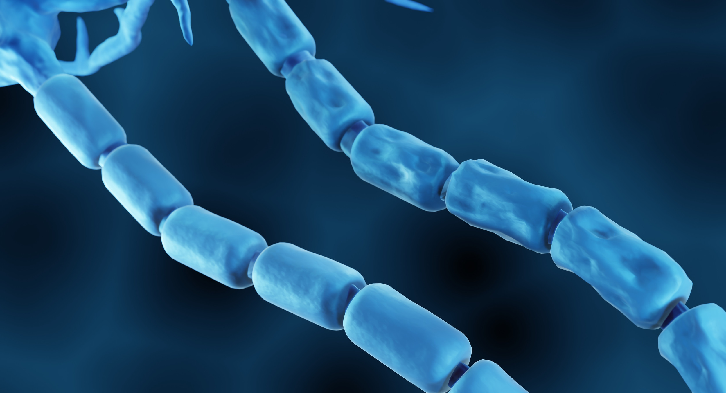 認識MOGAD | NMOHK 香港視神經脊髓炎協會