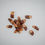 Miniatura: carquinyoli xocolata amb llet