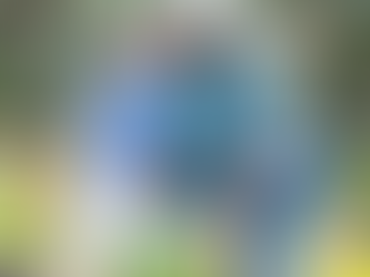 Elderly couple gardening, wearing gloves, smiling at each other. Surrounded by colorful flowers. Trees in the background, bright mood.